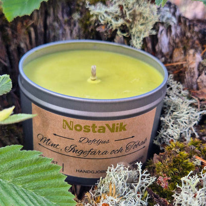 Doftljus - Mint Ingefära och Tobak: Insektsavvisande (Burk)